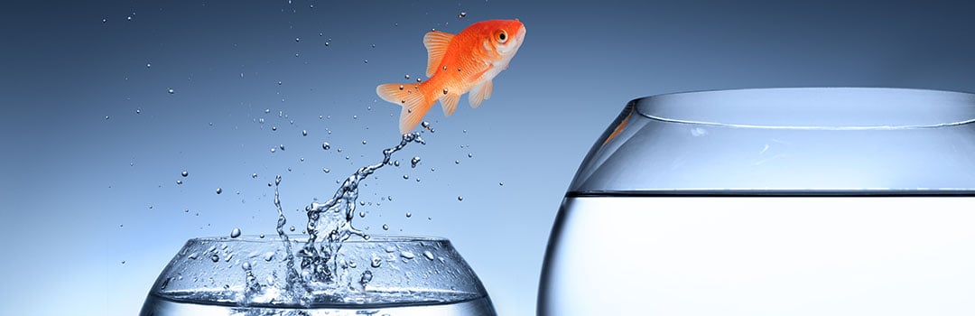 elearning-change-management-training-success-story-banner-1 elearning-change-management-training-success-story-banner-1
