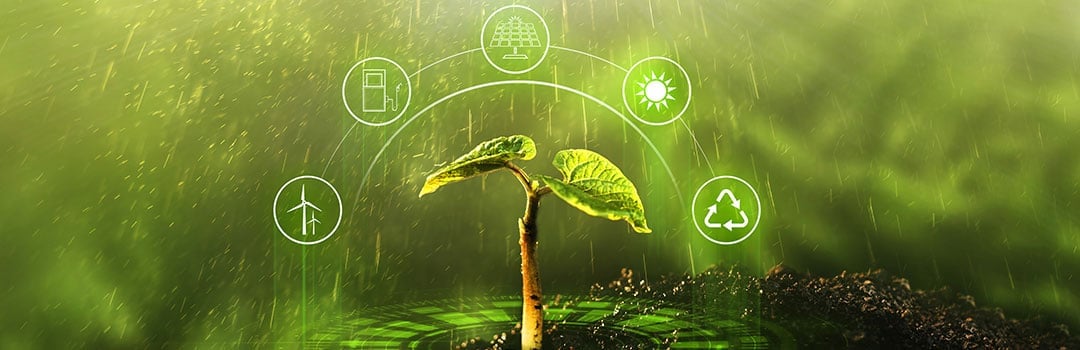elearning-sustainability-training-success-story-banner elearning-sustainability-training-success-story-banner